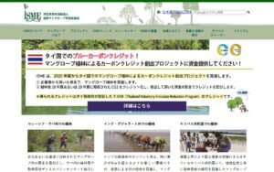 【NGO紹介】国際マングローブ生態系協会（ISME） ― 世界約20か国でマングローブの保全と再生に取り組む