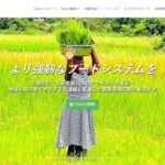 一般財団法人 ササカワ・アフリカ財団(SAA) のウェブサイト(スクリーンショット)