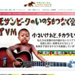 モザンビークのいのちをつなぐ会（PVM） のウェブサイト（スクリーンショット）