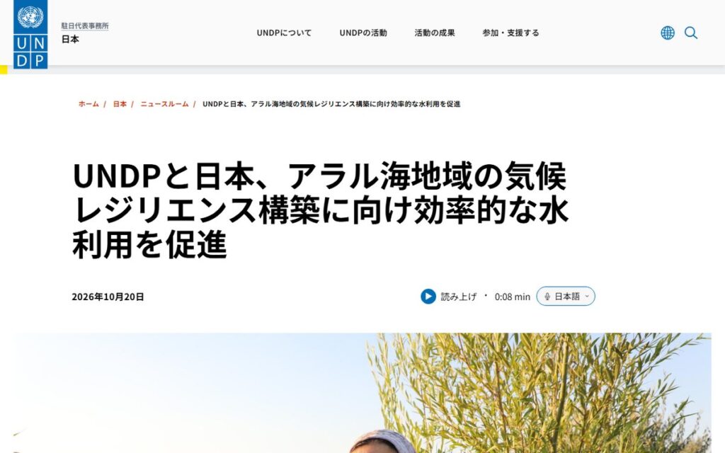 UNDP(国連開発計画) のウェブサイト